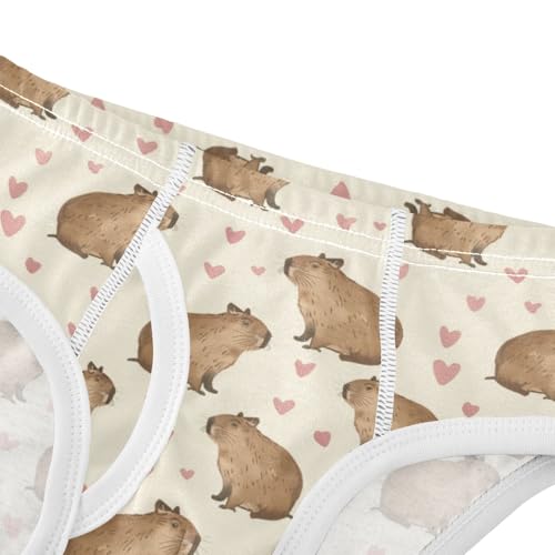 Boys' Exclusive Briefs Toddler Underwear 95% Combed Cotton Boxerbriefs 2T Capybara and Heart Pattern 74