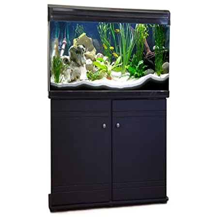 80l fish tank