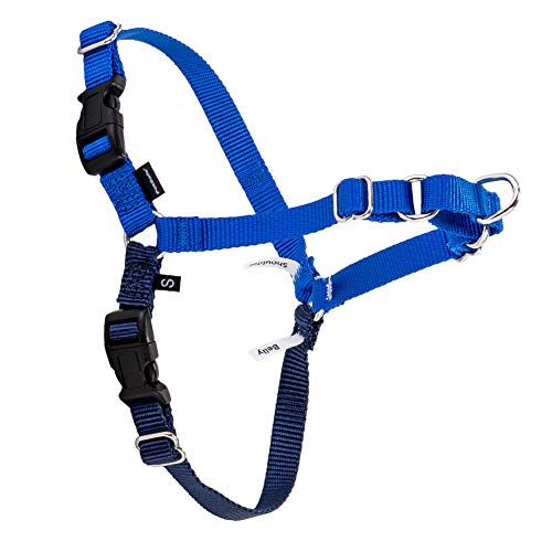 [ ybgZ[t ] Petsafe p n[lX C[W[EH[N ^ M TCY Easy Walk Harness M EWH-HC-M-RYL Cu[/lCr[ Royal Blue U g[jO ybg  [sAi]
