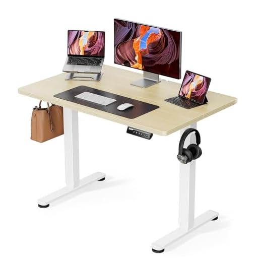 ErGear, Escritorio eléctrico de pie ajustable en altura, escritorio de 101 x 61 cm, escritorio pequeño con memoria de oficina en casa para computadora, color natural