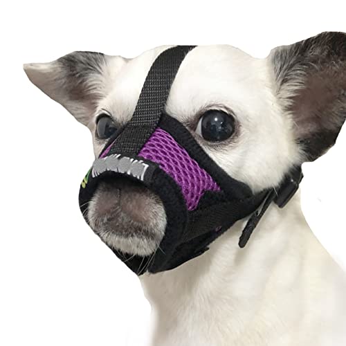 Top 10 Best Muzzle For Aggressive Dog Reviews & Buying Guide Katynel