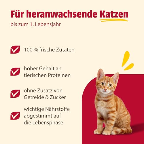 animonda Carny Kitten Geflügel-Cocktail (12 x 400 g), Kitten Nassfutter für wachsende Kätzchen, Katzenfutter ohne Getreide und Zucker, Katzennassfutter mit 100 % frischen Zutaten
