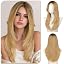 Honey Blonde Ombre