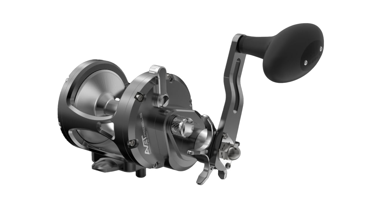Amazon | Avet Reels Avet MXL 5.8スター RH-BK G2シリーズ MXJ