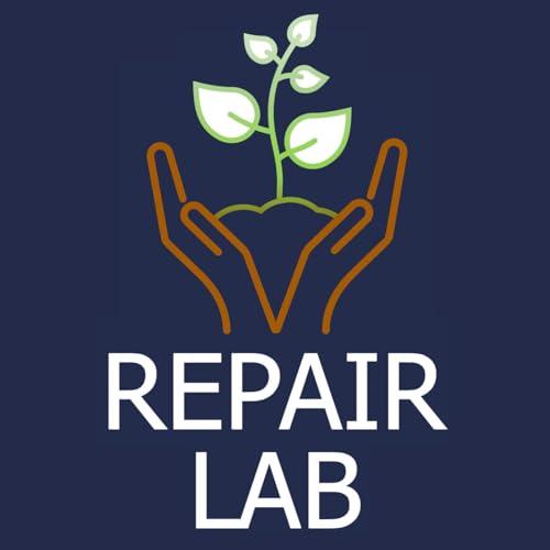 Page de couverture de The Repair Lab