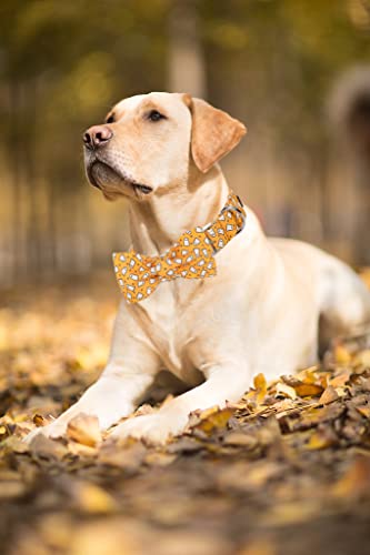 Lionet Paws Dog Collar with Bowtie, Halloween Bowtie for Dogs Adjustable Comfortable Dog Collar Girl Boy, M, Neck 34-55cm - Image 4