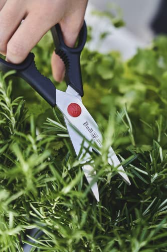 Zwilling Multi Purpose Scissors, Universal Scissors, Length : 20 cm, Special Stainless Steel and Plastic, Twin l - Image 4