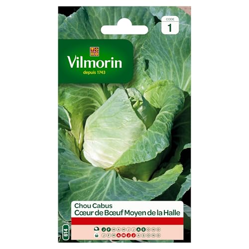 Vilmorin Chou Cabus Coeur de Boeuf moyen de la Halle Vilmorin