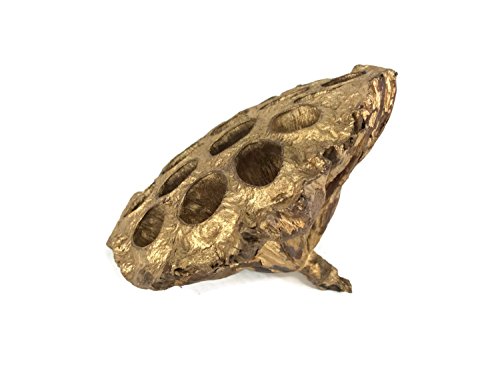 Flor seca de loto dorada artesanal para decoración miniatura 1