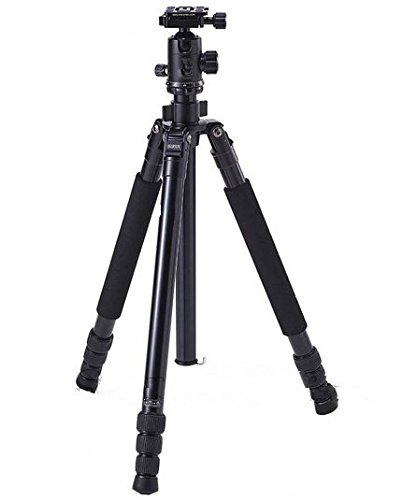 GOWE profesjonalna fotografia statyw do aparatu DSLR głowica kulowa/przenośny stabilny statyw lustrzanki / statyw do stóp