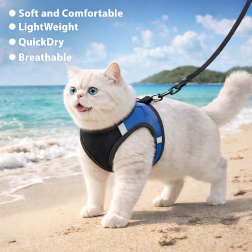 Image of Berlin's Cat Harness with Leash for Outdoor, Walking, Escape Proof, Air Mesh Fabric, Easy Control, Adjustable & Durable Cat Leash with Harness for Cats (Black-Blue, Small)