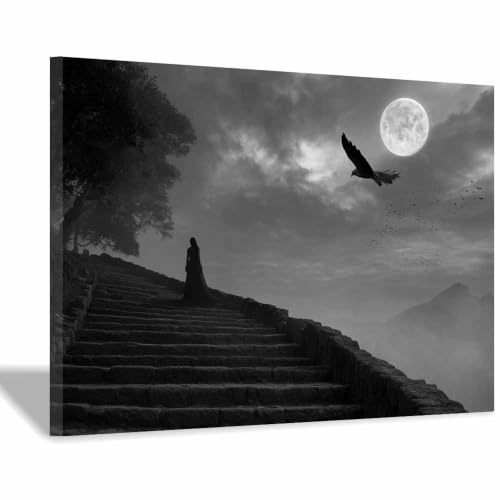 Toile photo noir et blanc paysages lunaires gothiques 60x90cm encadrée