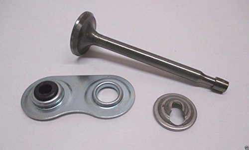 Tecumseh 37289 Lawn & Garden Equipment Engine Intake Valve Genuine Original Equipment Manufacturer (OEM) part