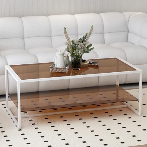 MAAOBR ローテーブル ガラス センターテーブル 幅100/120cm 深60cm 高45cm 強化ガラス天板 ガラステーブル 収納付き ガラス天板 リビングテーブル スチール脚 一人暮らし A-120cm 二重層