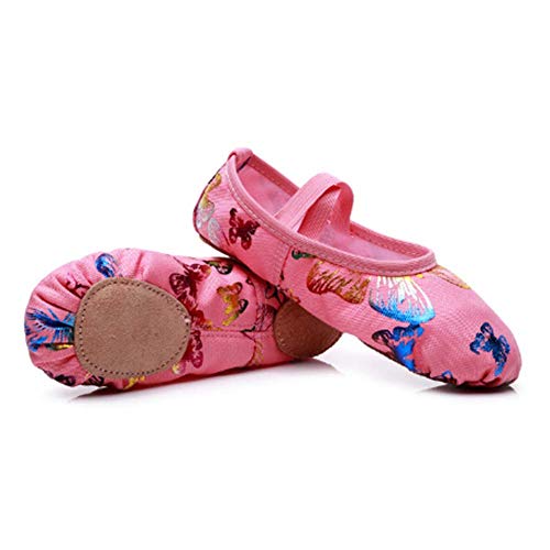 JUODVMP Pink Girls's Ballet Shoes Butterfly Partern Canvas Ballet Slippers,Suitable for Girls/Toddler/Little Girls4