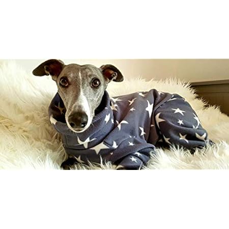 whippet coats amazon