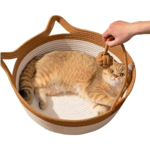 Qfmr  Lxbg Ђ  ی^ ybg׃bh ėp N[ 􂦂 Lbgxbh ⊴ ܂Ƃ L  ܌ JS pxbh lR  B nEX Q Rbg VRf S  z[ ~` Lpxbh^Cv 