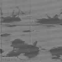 413zOktbTPL._AC_SY200_QL15_.jpg