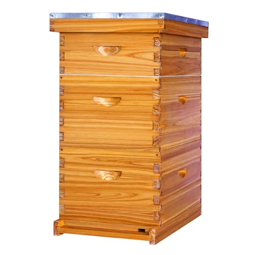 Honey Lake 8-Frame Langstroth Beehive Starter Kit Beeswax-Coated Hive Boxes with 2 Deep Brood Boxes & 1 Medium Super Includes Wooden Frames & Waxed Foundations Complete Beekeeping Kit for Beginners