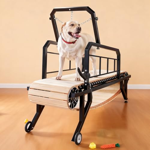 Dog Treadmill, Running Slat mill Machine with Brake & Plastic Track, Supports Up to 330 lbs, Suitable for Large & Medium Dogs, Healthy Exercise