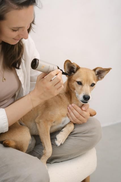 Ohrreiniger für Hunde - löst Verschmutzungen und lindert Juckreiz, mit Mikrosilber und Zink, vegan, OHR-REINIGER von LILA LOVES IT, 100 ml