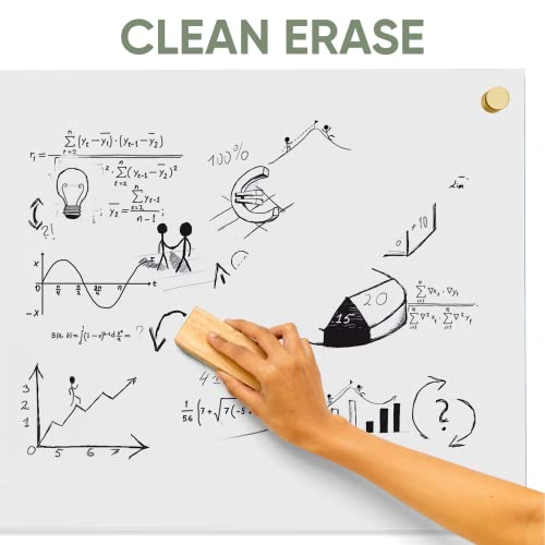 Acrylic Dry Erase Board | Non-Magnetic Floating Dry Erase Board | Hanging Frameless White Board | Acrylic Board For Office, School And Home Walls | Dry Erase Board For Kids And Adults (Clear - 16X20) #TOP4