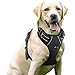 rabbitgoo Hundegeschirr Mittelgroße Hunde Anti Zug Geschirr Hund mit Kontrolle No Pull Verstellbar Hundegeschirr Grosse Hunde Atmungsaktiv Reflexstreifen Brustgeschirr Hund Sichere Führung Schwarz L