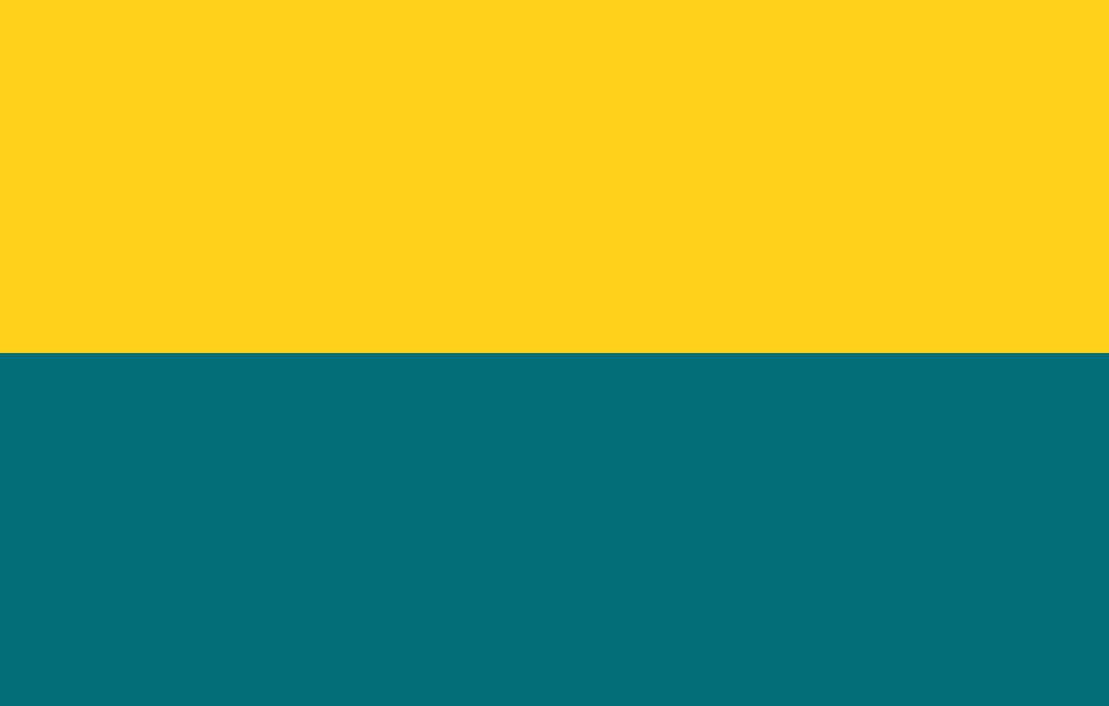 Drapeau XL Et-Narva grand format anti-usure pour mât extérieur 120x180cm