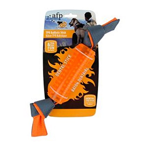 All for Paws Outdoor Dog Ballistic TPR Stick