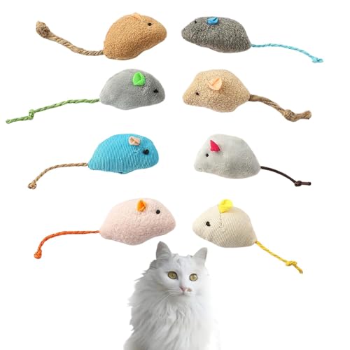 Lifetips ^[LbVAS Turkish Angora Lp lY~ʂ 8Zbg qL L V XgXU ^s ӂӂf L炵  ybgObY