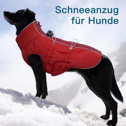 Katzinst Wintermantel Hund Klein, Wasserbeständig Hundeanorak mit Bauchschutz und Rollkragen, Schneemantel Hund, Sehr Schönes Material, Hundebekleidung für Schnauzer, Rot, S