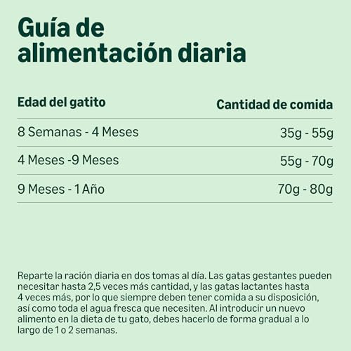 Miniatura 5 de by Amazon Alimento seco para Gatitos con Pollo Fresco, Receta sin Cereales, 3 kg (Paquete de 1) (Anteriormente una Marca Lifelong, el Mismo Producto)