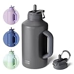 BOTTLE BOTTLE 2Litre Insulated Large Water Bottle with Straw and Dual-use Lid Half Gallon(64oz) Water Jug Stainless Steel Big Water Bottles with Handle for Gym and Sports (Gray)