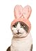 Kitan Club Cat Cap - Pet Hat Blind Box Includes 1 of 5 Cute Styles - Soft, Comfortable - Authentic Japanese Kawaii Design - Animal-Safe Materials, Premium Quality (Rabbit)