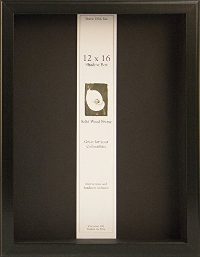 Frame USA Shadow Box Showcase Series 12x16 Wood Frames (Black)