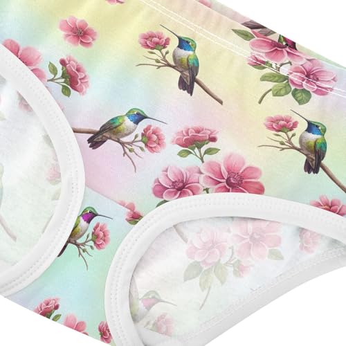 Joisal Colorful Hummingbird Pink Flowers Girls Underwear Toddler 2t Cotton Panties for Girl Fun Undies Kids Briefs4