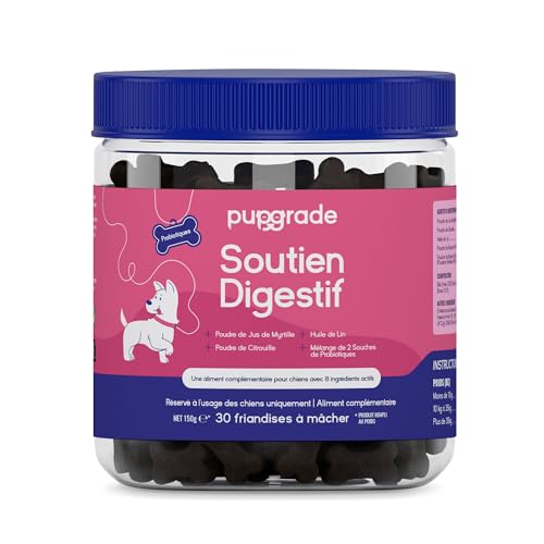 PupGrade Soutien Digestif pour Chiens – Aliment Complémentaire 8 Ingrédients Actifs – Maux Estomac, Diarrhée, Intestins, Soutien Immunitaire – Citrouille, Myrtille, Huile Lin – 30 Friandises Molles
