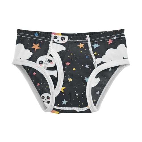 Wusikd Cute Pandas Rainbow Boys' Underwear Cotton Starry Night Sky Boys Briefs Soft Toddler Underwear 2T