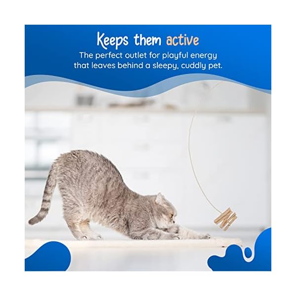Cat Dancer Interaktives Katzenspielzeug – Spaß und Fitness für Ihren pelzigen Freund – fesselnde Papierrolle befestigt mit 76,2 cm flexiblem Federstahldraht für verspielte Katze – Bild 6