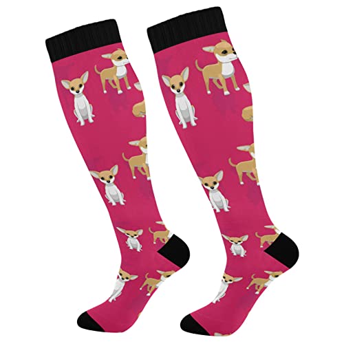 Dussdil Compression Socks for Women & Men - Knee High Socks for Running & Athletic Activities