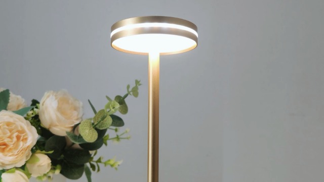 Hapfish Lampade Da Tavolo Senza Fili LED, Ricaricabili 6000mAh Lampade Da Comodino USB In Alluminio Di Moda, Dimmerabile, Impermeabile, Luci Batteria Per Ristorante Scrivania Esterno (2 Argento