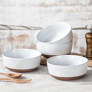 Ceramic Cereal Bowls set of 4-25 oz Porcelain Soup Bowl - 6 inch Stoneware Kitchen Bowl for Salad Oatmeal Ramen Pasta Side Dishes - Dishwasher & Microwave Safe Dinnerwar - Alabaster White Ceramic Cereal Bowls set of 4 25 oz Porcelain Soup Bowl 6 inch Stoneware Kitchen Bowl for Salad Oatmeal Ramen Pasta Side Dishes Dishwasher Microwave Safe Dinnerwar Alabaster White