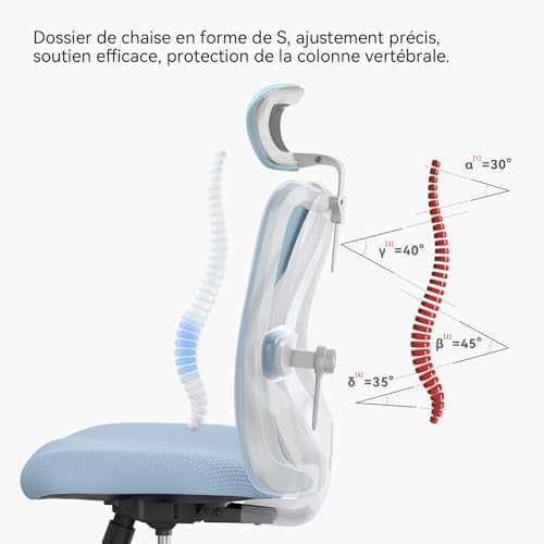 Image of SIHOO M18 Ergonomic Office Chair, Computer Desk Chair with Adjustable Headrest and Lumbar Support, High Back Executive Swivel Chair for Home Office (Light Blue)