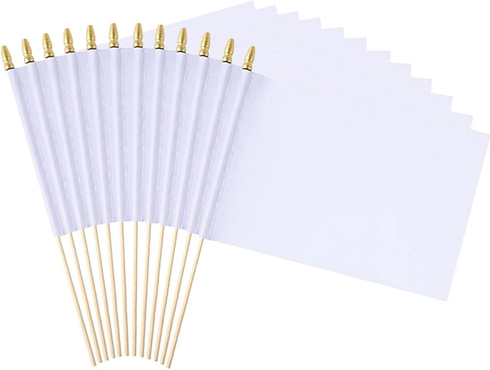 Amazon.com : 12 Pack 8x12 Inch Solid White Blank Flag Small Mini Plain ...
