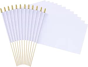 Amazon.com : 12 Pack 8x12 Inch Solid White Blank Flag Small Mini Plain ...