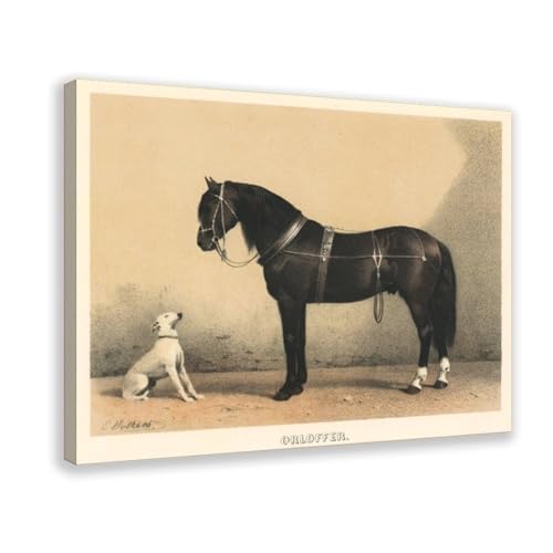 Toile Orlov Trotter Emil Volkers - Décoration murale cheval et chien 30,5 x 45,7 cm