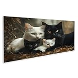 Format : 120 x 40 cm - Panorama