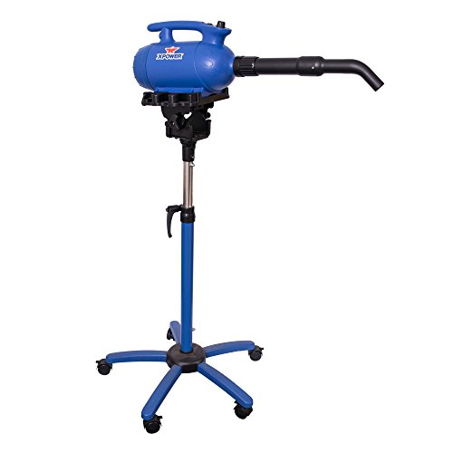 XPOWER B-24 X-Treme Force Dryer with Dual Heat Settings, 3 HP