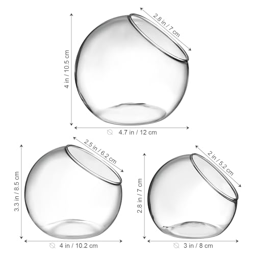Image of balacoo 3 Pcs Glass Terrariums Bowl for Plants, Terrarium Jar for Air Plant Clear Globe Vase Glass Bowl for Home Desktop Decor | Modern slant-cut design adds elegance to home or office. Transparent glass displays succulents and moss for a stunning view.
