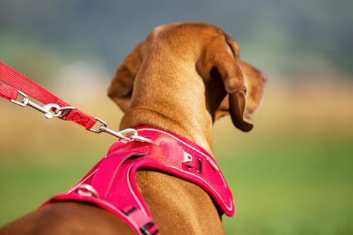 Belka Harness Brown S
